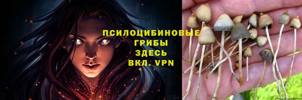 прущие грибы Остров