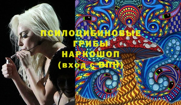 дмт Нягань