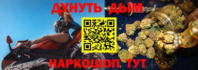 гидра Будённовск