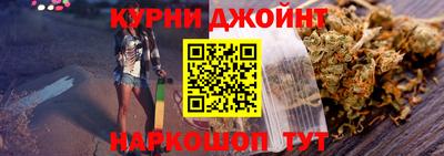 гидра Будённовск