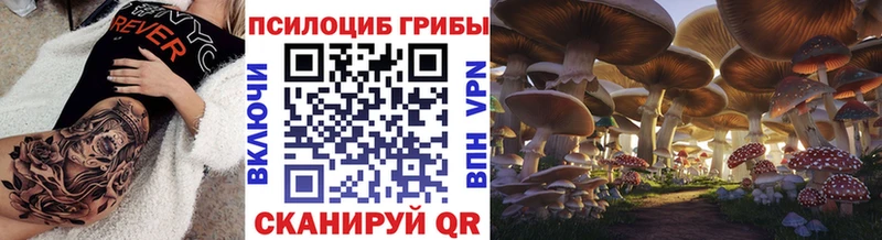 Галлюциногенные грибы мицелий  Белая Калитва 