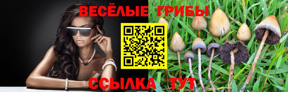 Галлюциногенные грибы GOLDEN TEACHER Белая Калитва