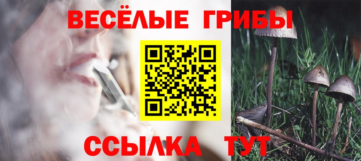 Псилоцибиновые грибы Cubensis Белая Калитва